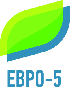 евро 5 стандарт